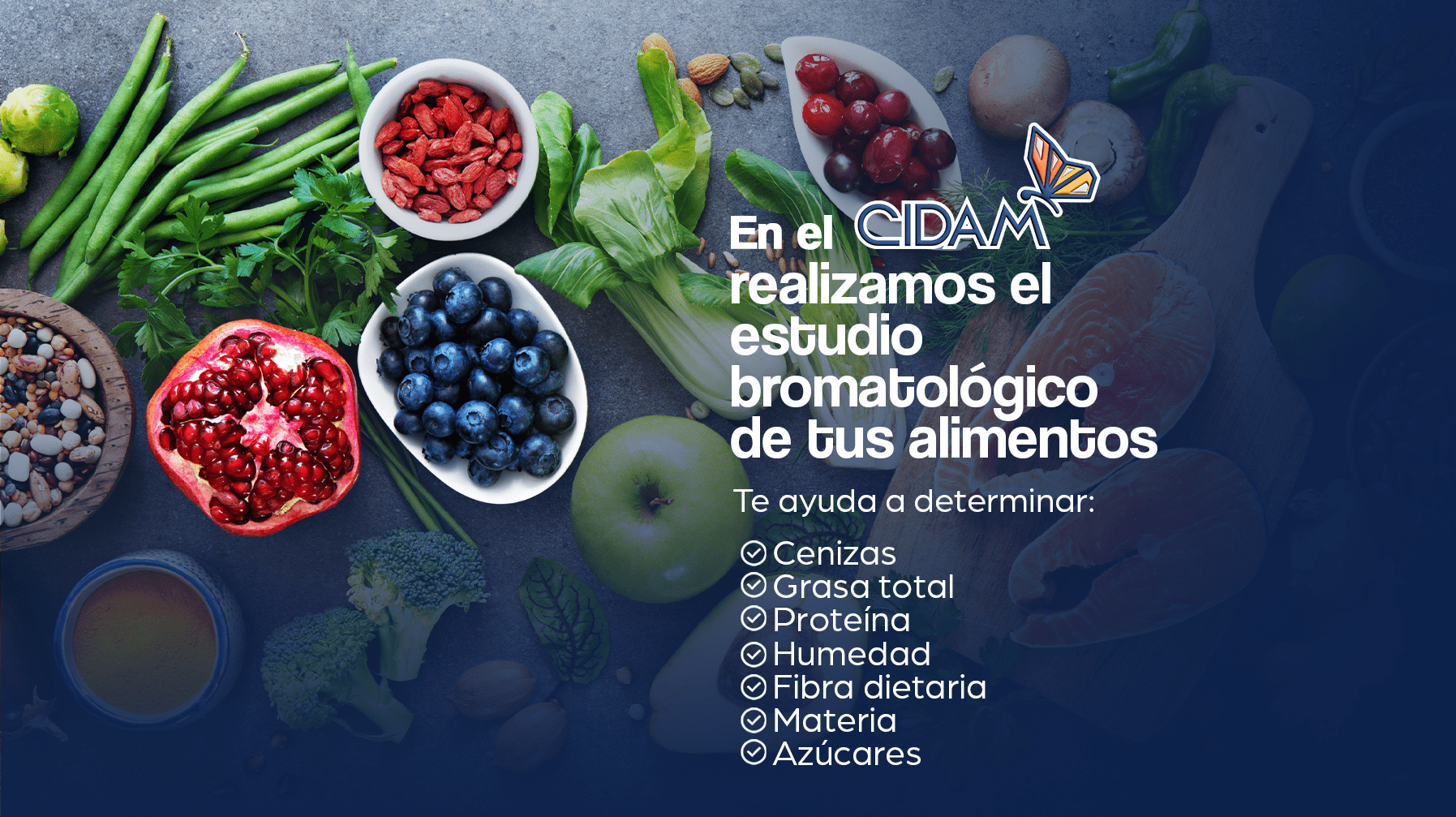 Estudios bromatológicos de alimentos CIDAM