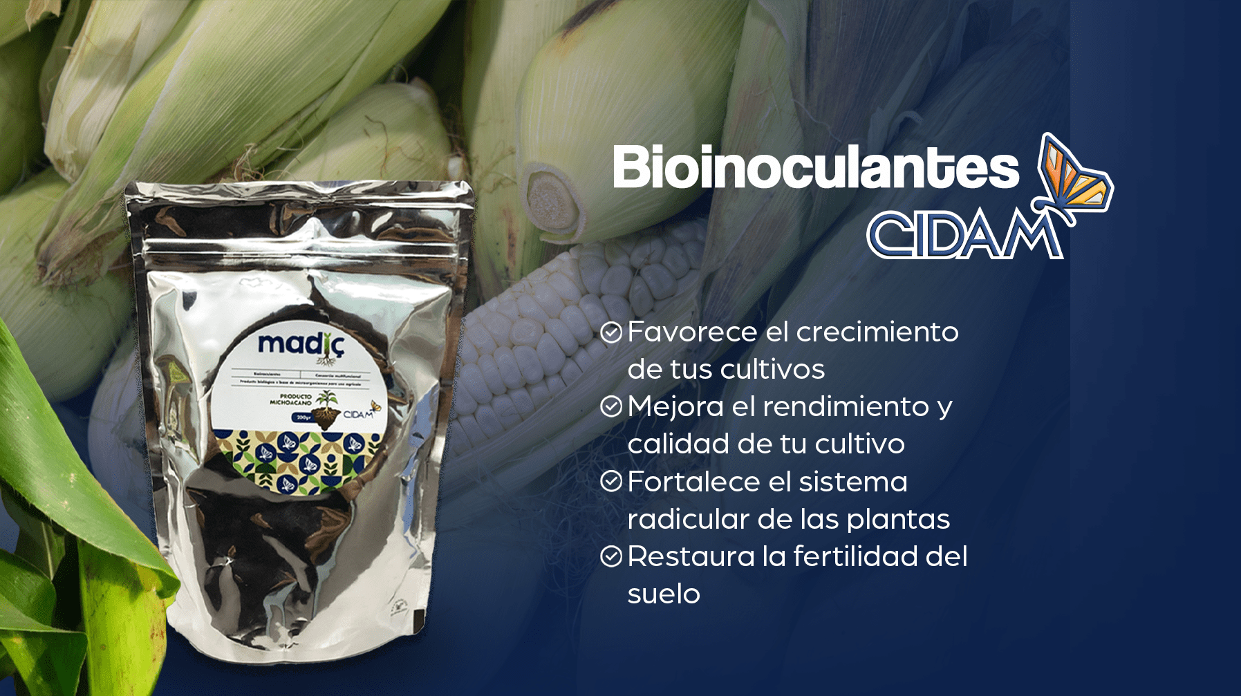 Bioinoculantes y análisis de suelos CIDAM 