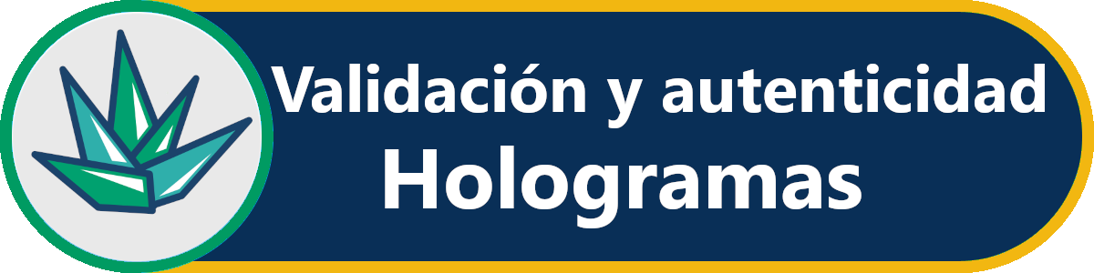 Validación y autenticidad de Hologramas