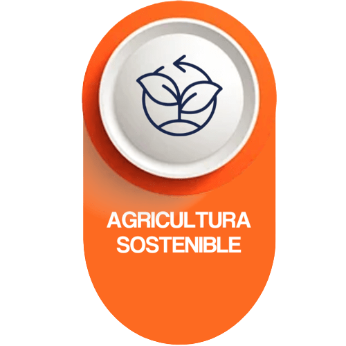 Agricultura sostenible