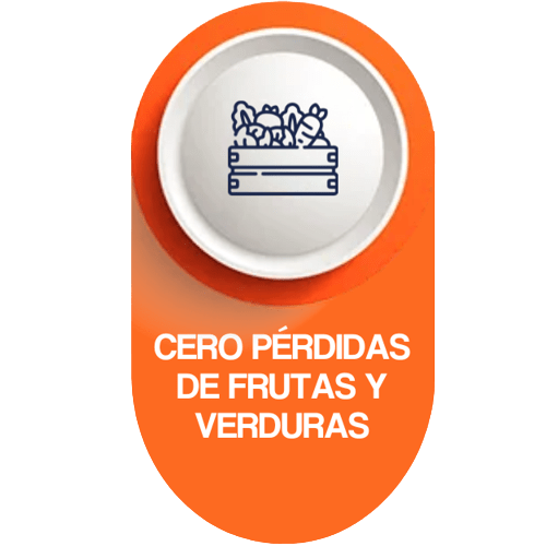 Cero pérdidas