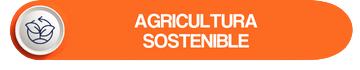 Agricultura sostenible