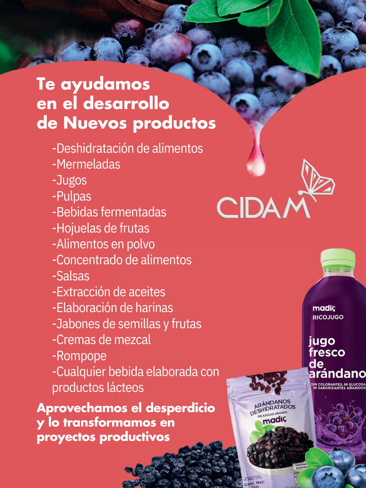 Desarrollo de productos
