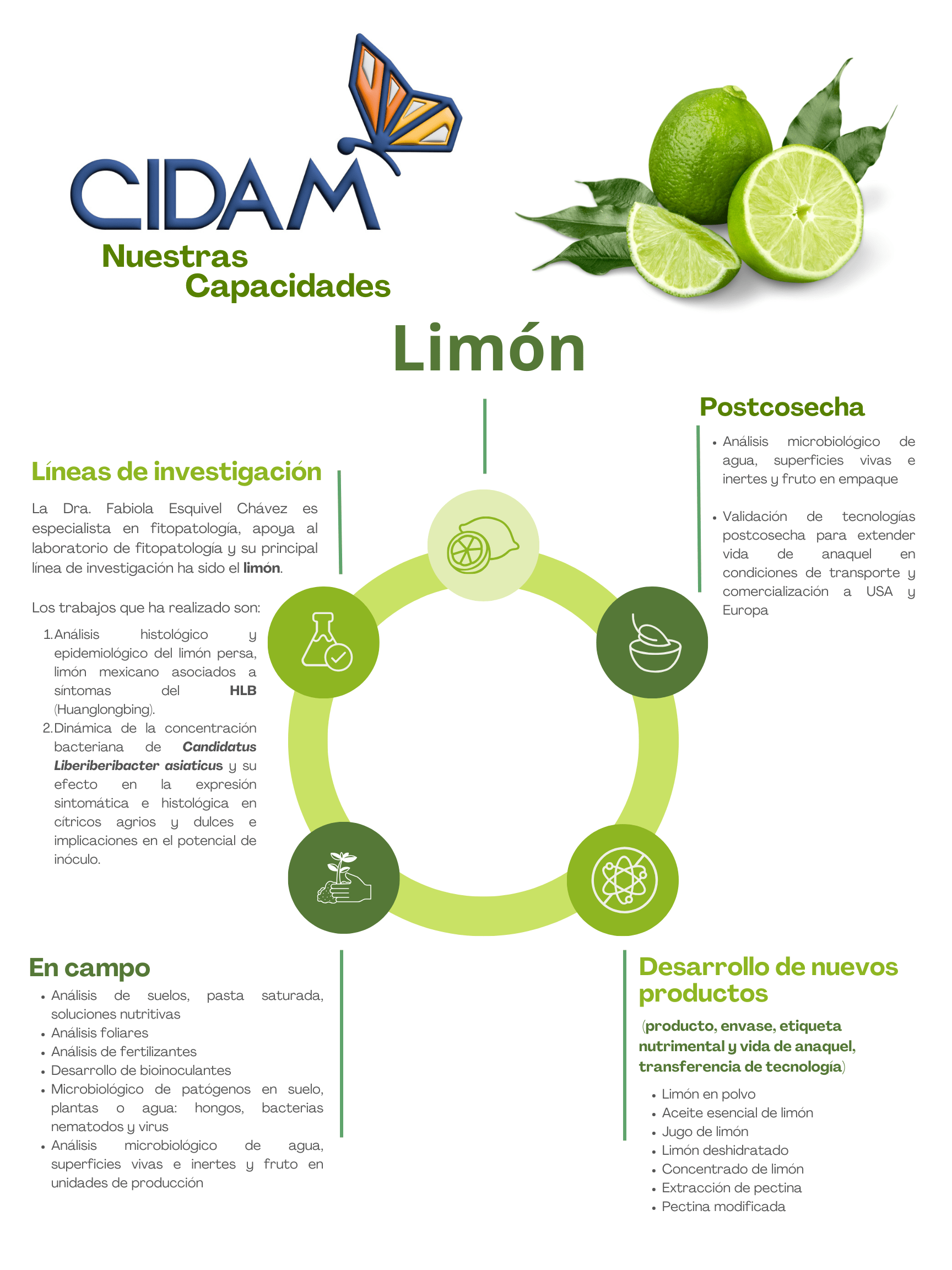Producción de limón